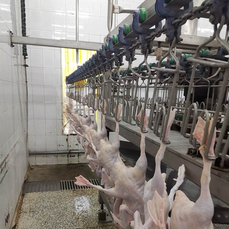 家禽屠宰厂专用宰杀生产线自动计数器双传感器检测更准确