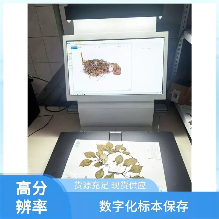 福特瑞斯 植物标本数字化扫描仪 可调光源系统 多样化格式导出
