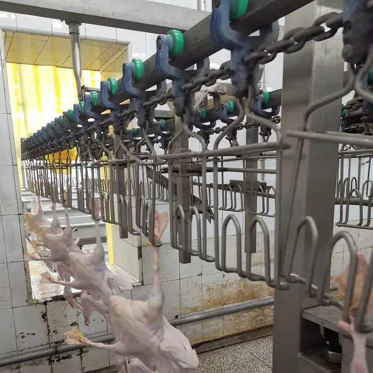 牛羊屠宰厂专用宰杀生产线自动计数器485通讯接口