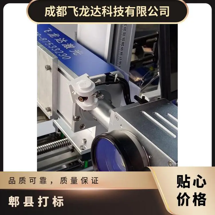 飞龙达激光打标机 金属刻字设备 220V 800*650尺寸