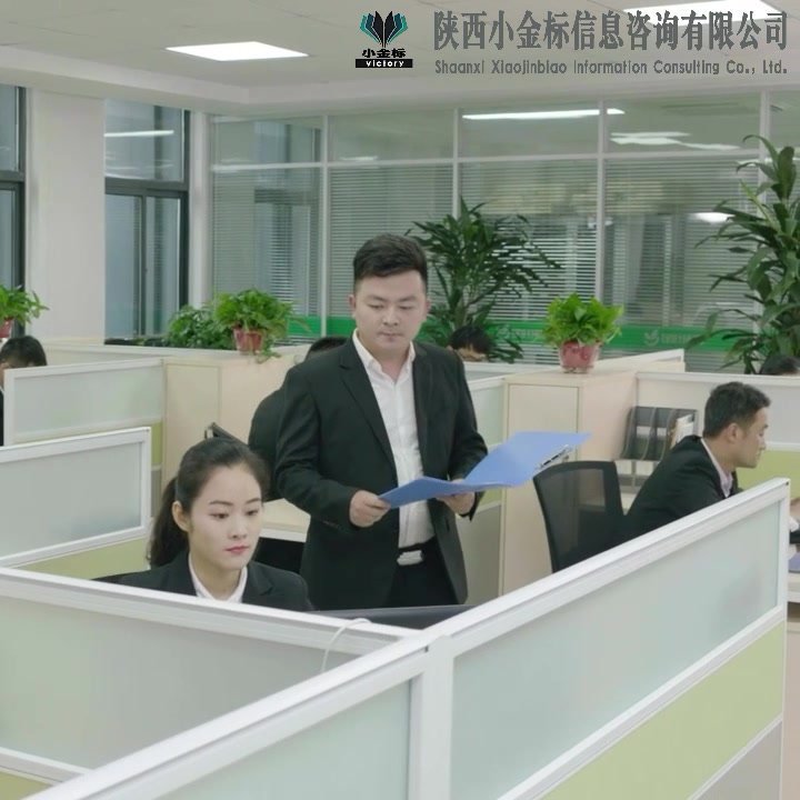 正定标书制作流程与技巧安保服务投标文件 小金标满足企业需求