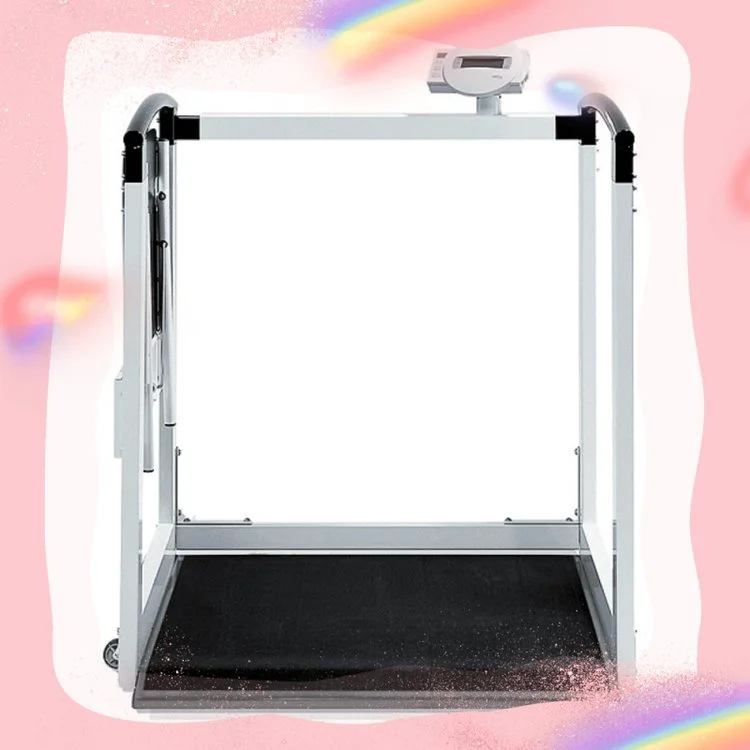 德国赛康 657称重 具有创新记忆功能的电子平台秤