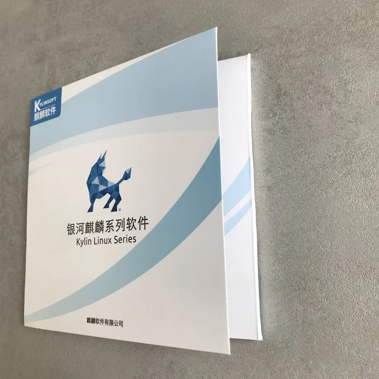 银河麒麟桌面操作系统V10SP1 优化的系统资源分配丰富的网络服务