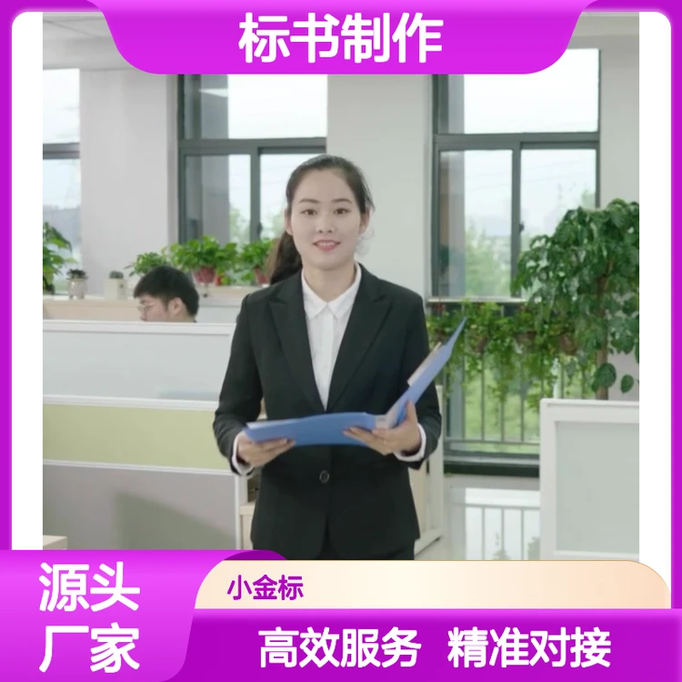 专业标书制作实体团队 高效服务助力项目中标无忧