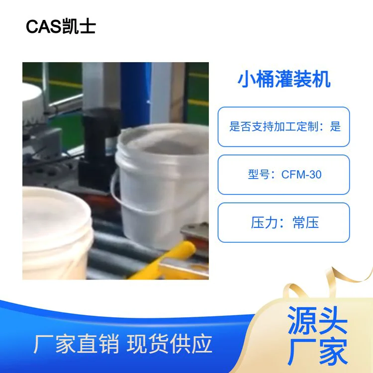 CAS凯士液体称重灌装机 25kg油类双头下潜式灌装分装机