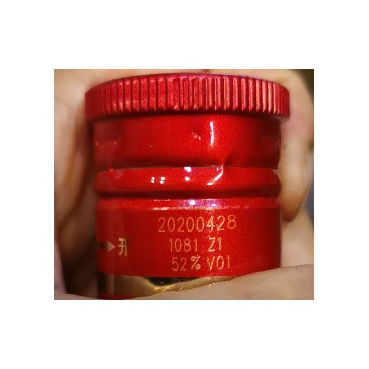 飞龙达GT-20/30/50激光打标机手持式一体机同步跟踪