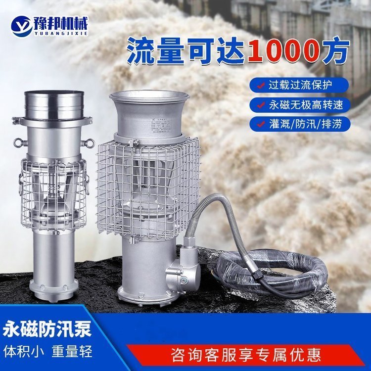 永磁电机高扬程水泵 航空铝便携式轻型永磁潜水泵