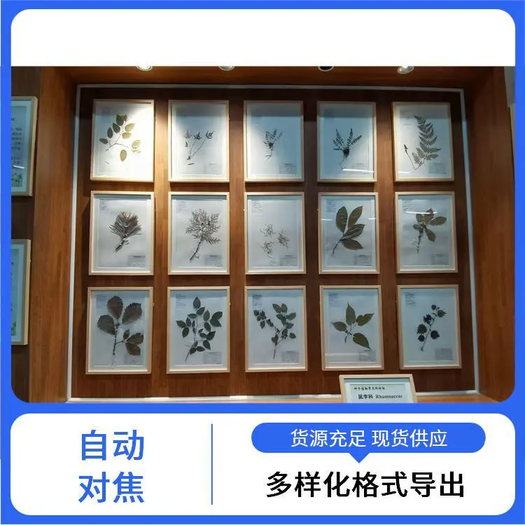 福特瑞斯 彩色还原真实 植物标本非接触式扫描仪 实时预览功能