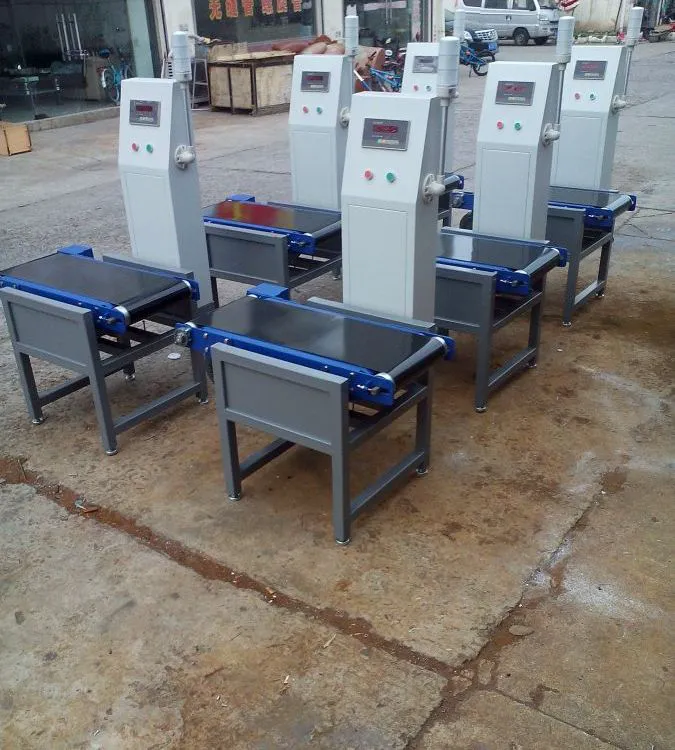 自动化配套电子皮带秤 皮带重量分拣机 书本缺件自动称重机