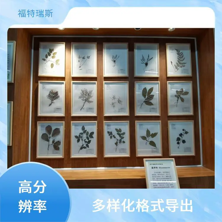 植物标本非接触式扫描仪 高分辨率 高清影像捕捉 图像处理软件