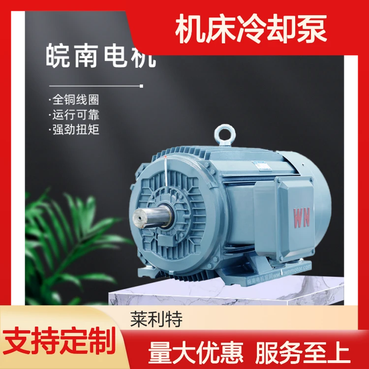 皖5南6机床冷却泵专用电机 0.25KW 220V 全铜线圈高效运行
