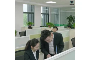 北市标书制作宣传策划投标文件 小金标满意付款靠谱省心八年经