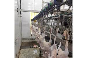 家禽屠宰厂专用宰杀生产线自动计数器双传感器检测更准确