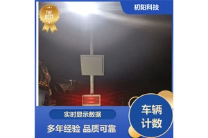 初阳 工地车辆计数软件厂家 操作简单易懂 自动打印小票