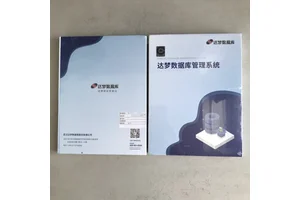 达梦数据共享集群DMDSC 高可靠性容错技术列存储 亿豪