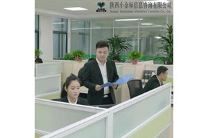 正定标书制作流程与技巧安保服务投标文件 小金标满足企业需求