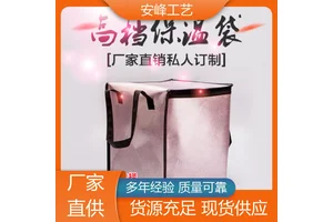 便携午餐保温包 无纺布披萨外卖保温袋 厂家现货 安峰工艺