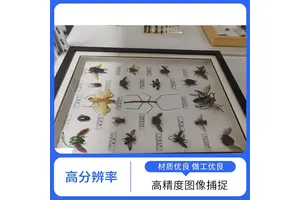 福特瑞斯 植物标本非接触式扫描仪 可调光源系统 影像增强技术