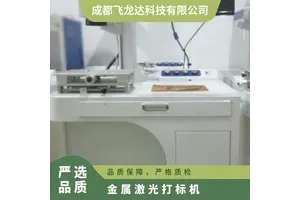 工具打字 激光打标机 飞龙达厂家制造 打标机找专业厂商保证 打