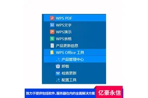WPS Office 2019专业增强 办公软件 安全性高数据保护自动化排版