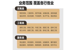 宝鸡标书代写招投投标文件制作投标文件 小金标图文并茂定制服务