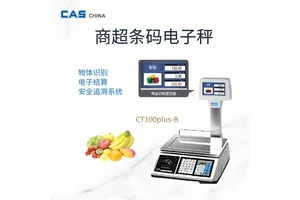 CAS凯士超市收银称重一体机 蔬菜水果电子计价秤 CT100-R