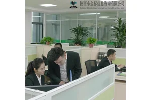 小金标灯具采购投标文件代写 专业标书制作员 方案策划中标无忧