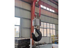 检重秤 水果流水线分拣不合格剔除上线下报警连接PLC皮带秤