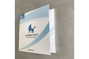 银河麒麟桌面操作系统V10SP1 优化的系统资源分配丰富的网络服务