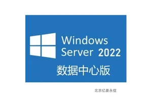Windows 2022 Datacenter嵌入式 优化的网络协议支持