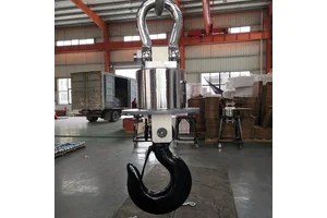 带报警20吨电子吊秤 OCS工业20t吊钩秤型号功能齐全按需定制