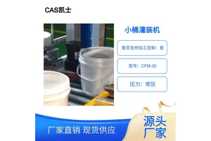 CAS凯士液体称重灌装机 25kg油类双头下潜式灌装分装机