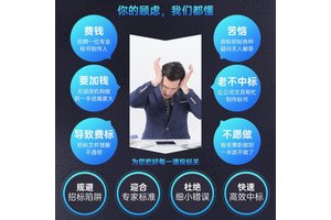 商洛标书保洁服务药品投标文件 小金标制作严谨增加中标率