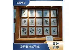 福特瑞斯 高清图像保存 植物标本非接触式扫描仪 可调光源系统