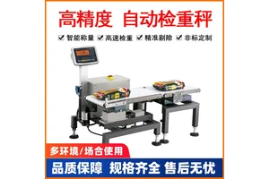 30kg检重复检秤 袋装产品重量检测秤 在线检重秤生产厂家
