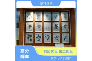 福特瑞斯 植物标本数字化扫描仪 高分辨率 简单操作界面 影像增强技术