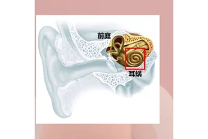 德国麦科诊断性听力计MA51进口电测听听力仪器
