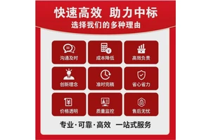 铜川标书代写服务大宗食材配送 小金标图文并茂定制服务