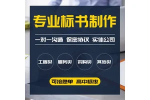 邢台商务标书格式小金标优质贴心服务制作有经验服务好