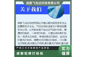飞龙达激光打标机 柜式便携式手持式多规格可选