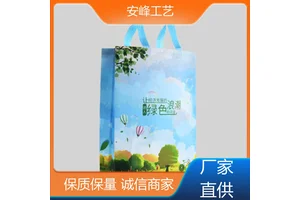 广告宣传购物无纺布袋 双层无纺布手提袋 生产供应 安峰工艺