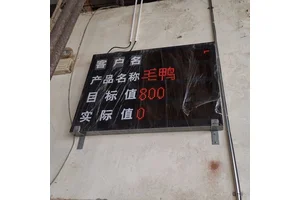 家禽屠宰厂专用宰杀生产线智能计数器防水防尘防腐蚀