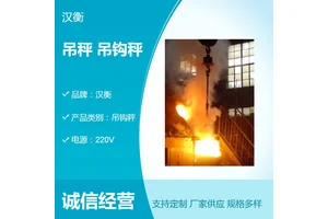 OCS-50吨耐高温电子吊秤 钢厂用无线数传手持仪表打印吊钩秤