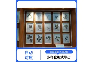 福特瑞斯 彩色还原真实 植物标本非接触式扫描仪 实时预览功能