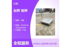 汉衡TCS-300kg电子台秤 工业称重不锈钢防腐蚀交直流两用平台称