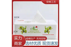 创意酒店抽纸盒 塑料宣传礼品纸巾盒 定制可印logo 安峰工艺