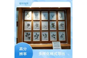 植物标本非接触式扫描仪 高分辨率 高清影像捕捉 图像处理软件