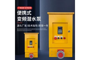 大流量便携式变频潜水泵高扬程 100立方35米潜水轴流泵