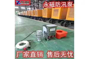 便携式防洪抢险永磁泵大流量高扬程不锈钢排水排涝轻型防汛潜水泵