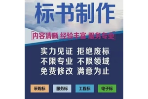 咸阳标书代写电子投标文件在线投标 小金标提高工作效率专家复审
